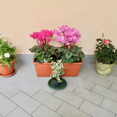 Casa Vacanze Nonna Anna Appartamento